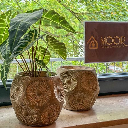 Moor Feeling Apartments Worpswede Extérieur photo