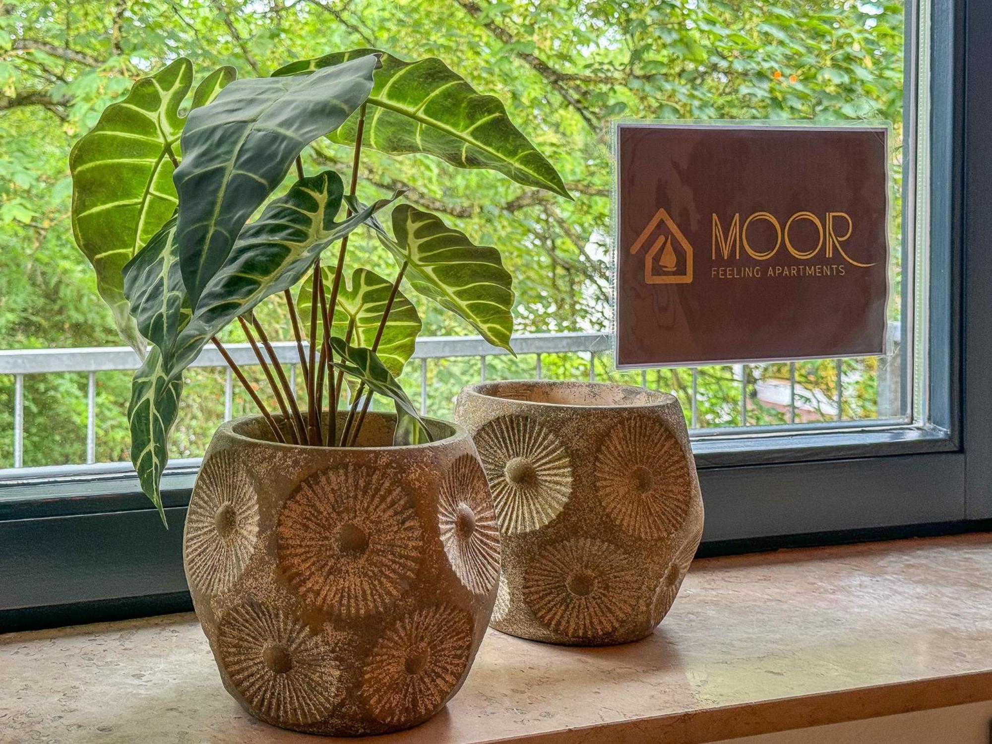 Moor Feeling Apartments Worpswede Extérieur photo